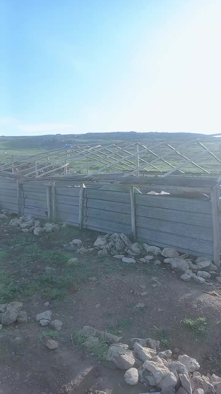 @yılmaz mustafa şen