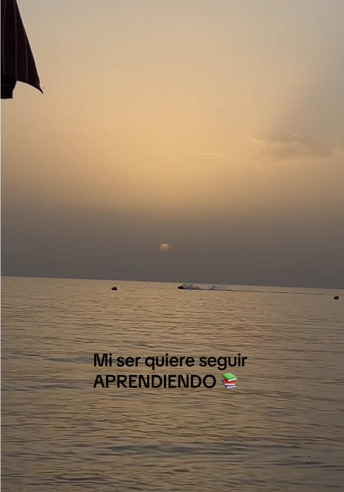 @Clara de Garrido
