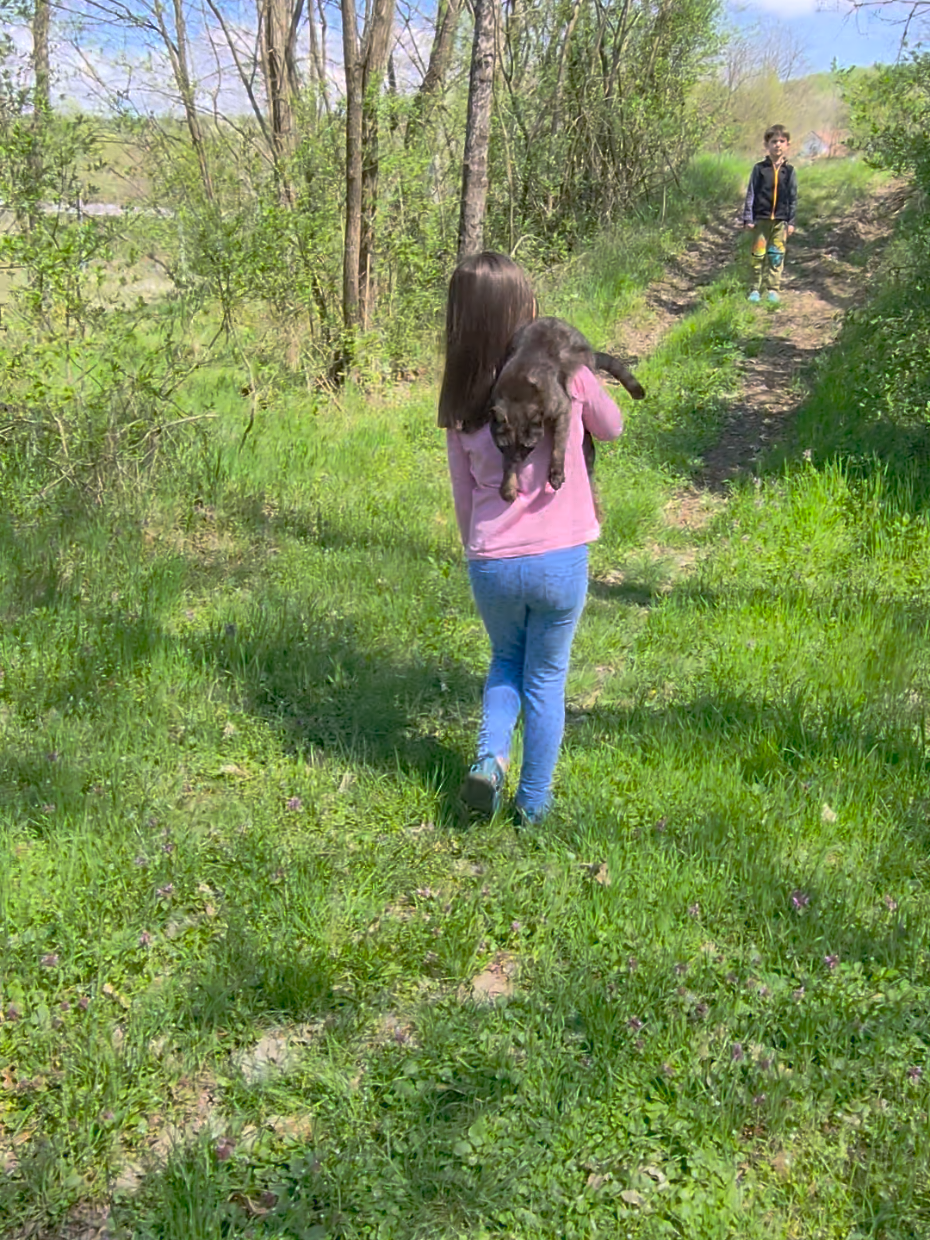 @CiupaHouse 👣 Viața la țară