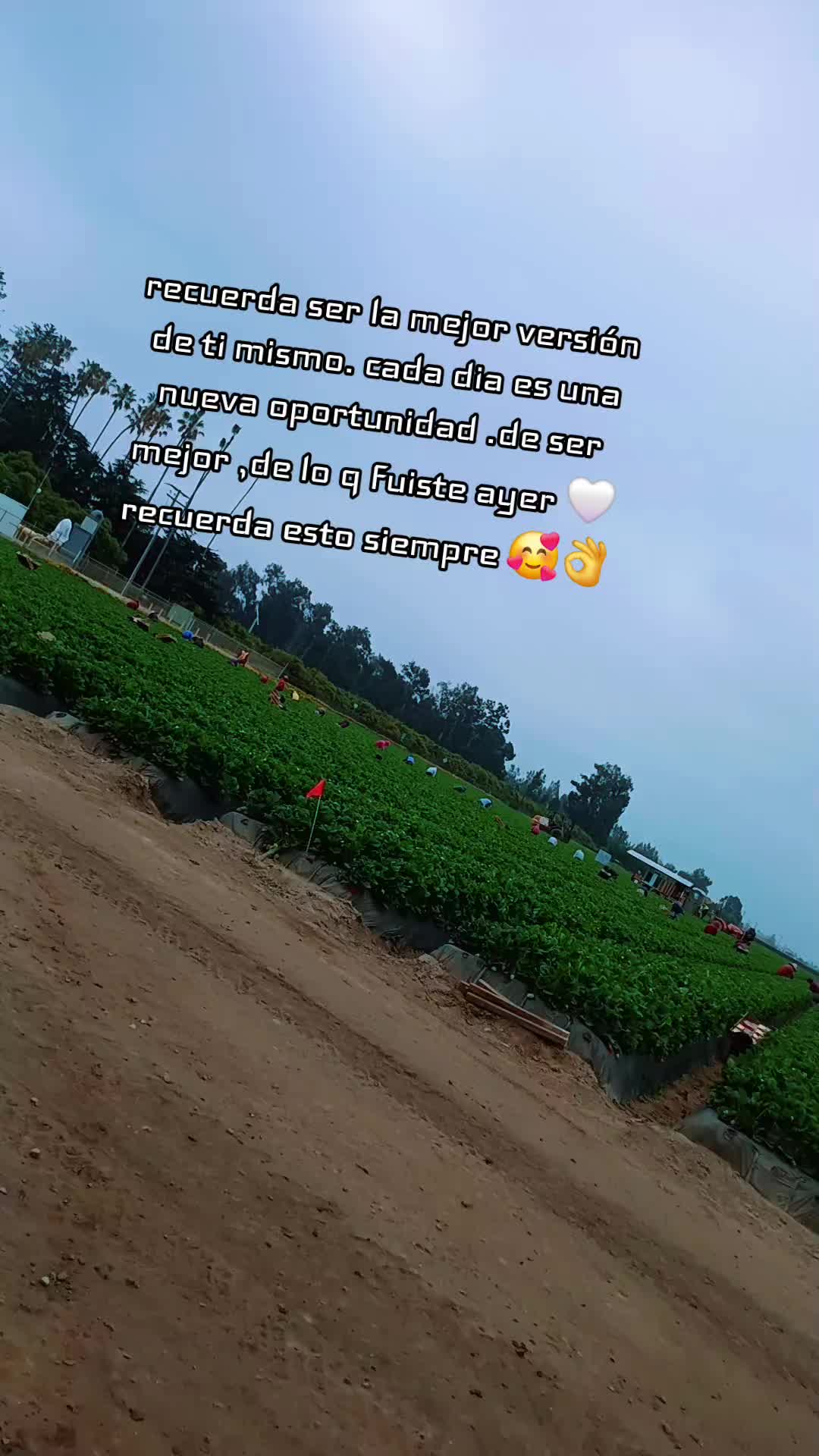 @Regi 💗