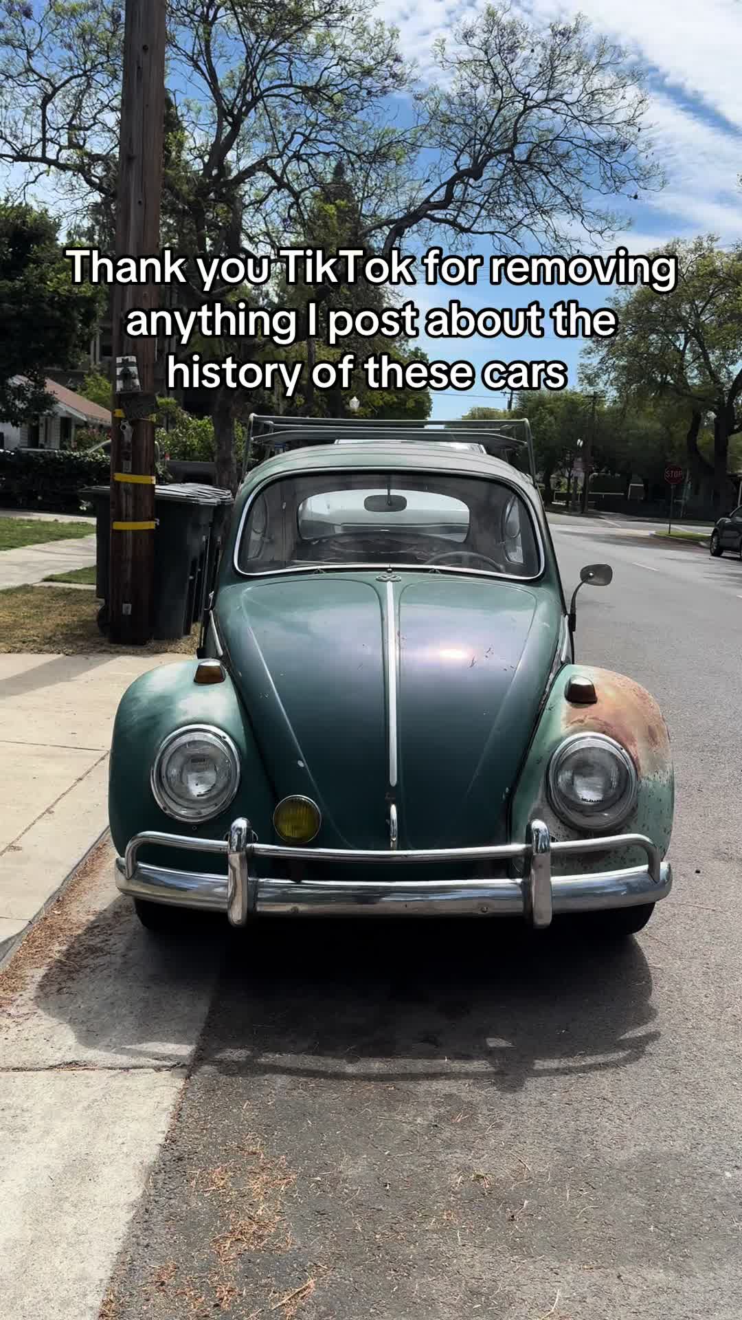 @Volkstag Revenge