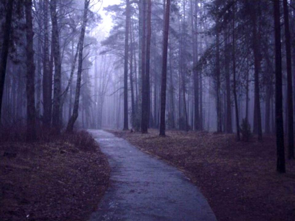 @для липсингов