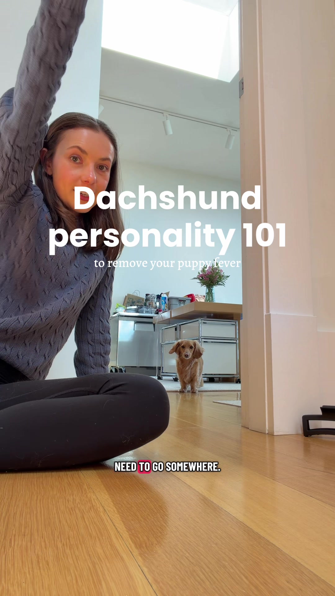 @cashewdachshund