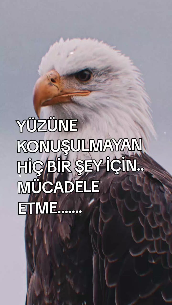 @__İREM__