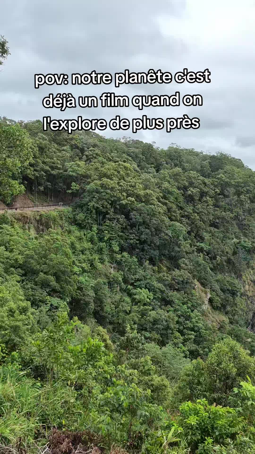 @jeremy