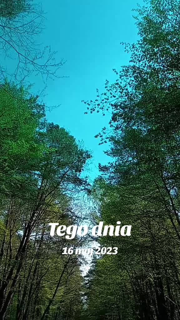 @MaGdaC