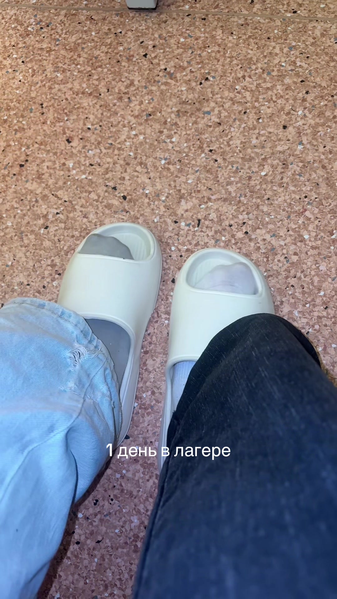 @alchnostd