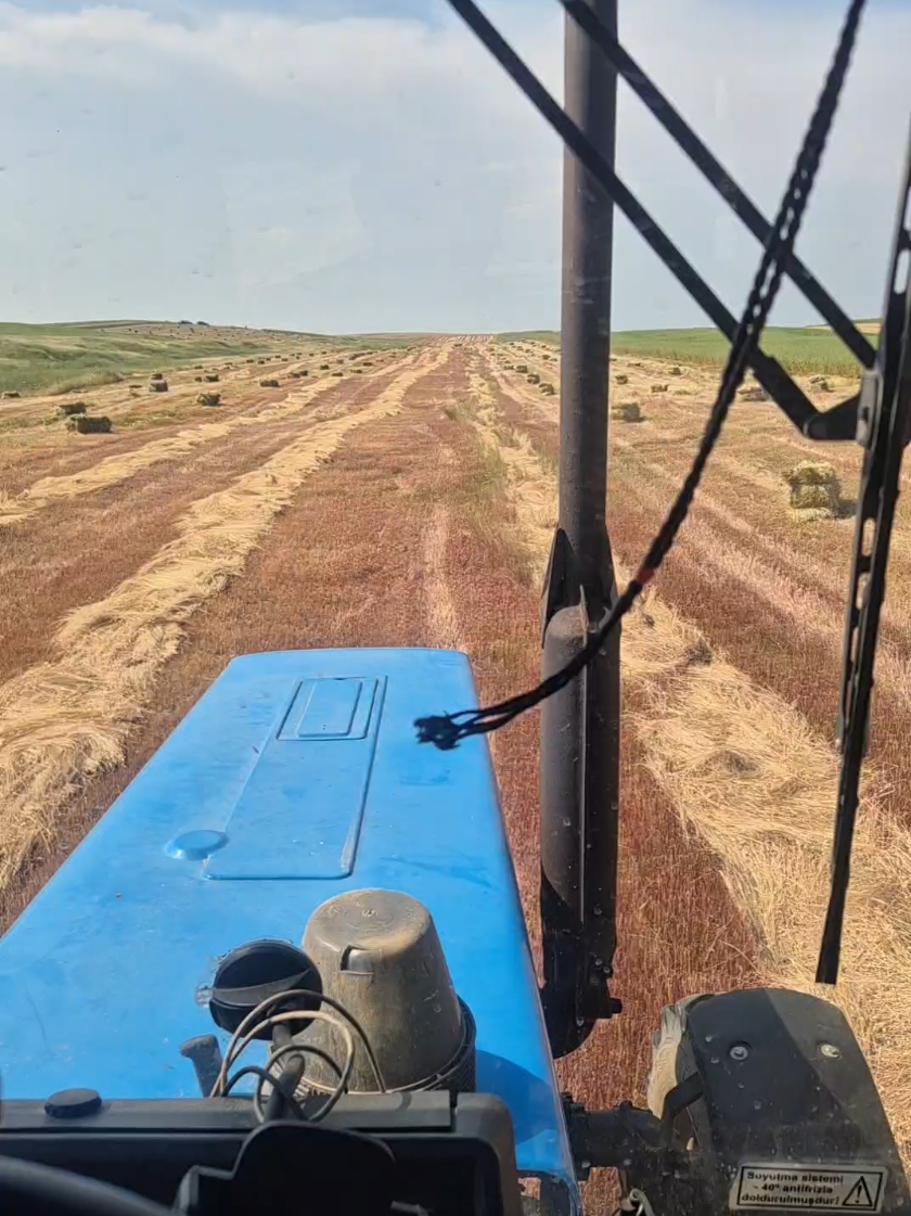 @belarus mtz82.1