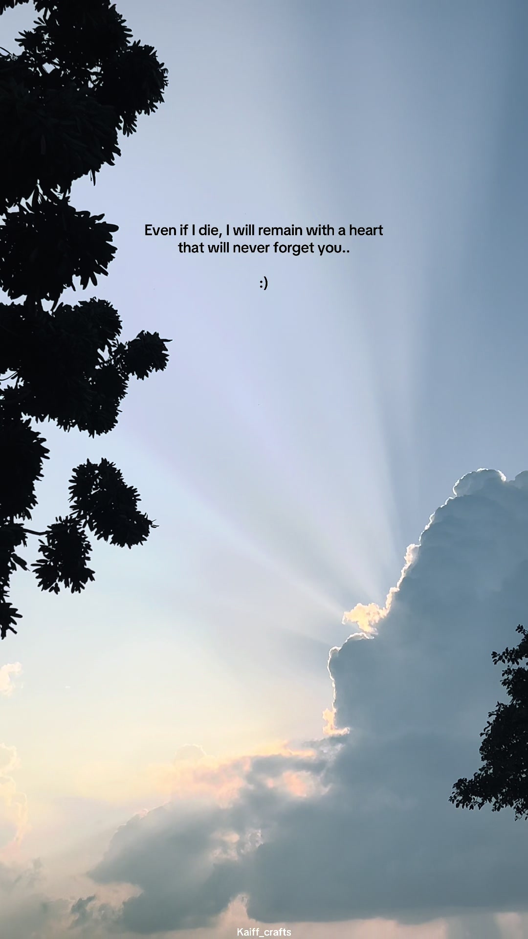 @Quotable_Vibes_
