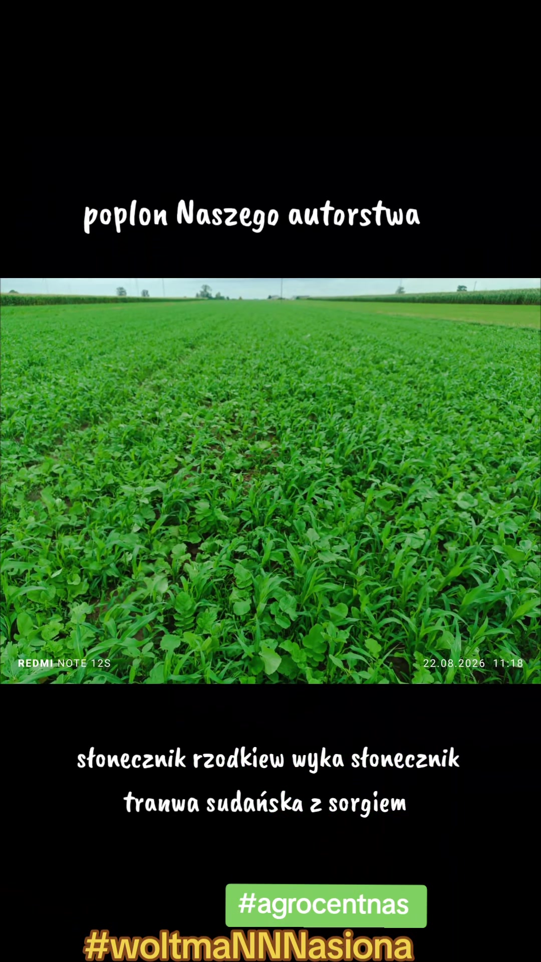 @WOLTMANNNASIONA