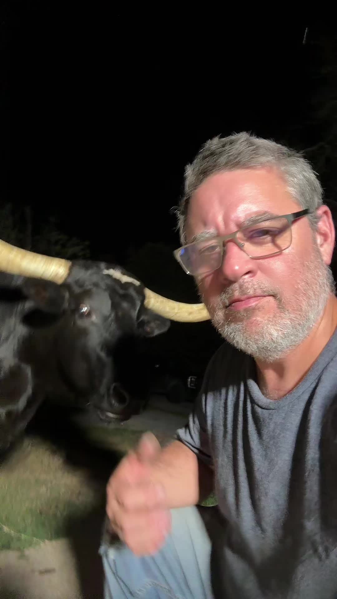 @bar_m_longhorns