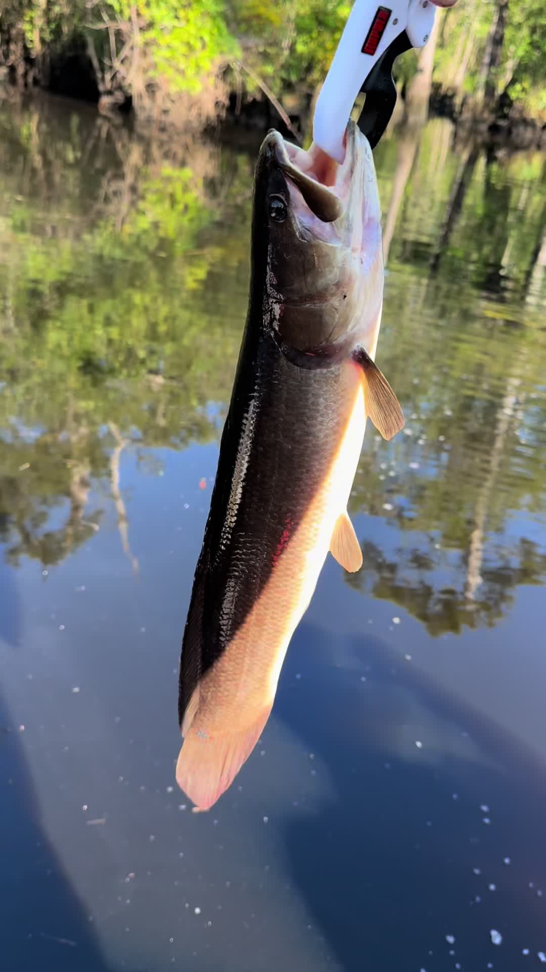 @East-Coast-Fishing