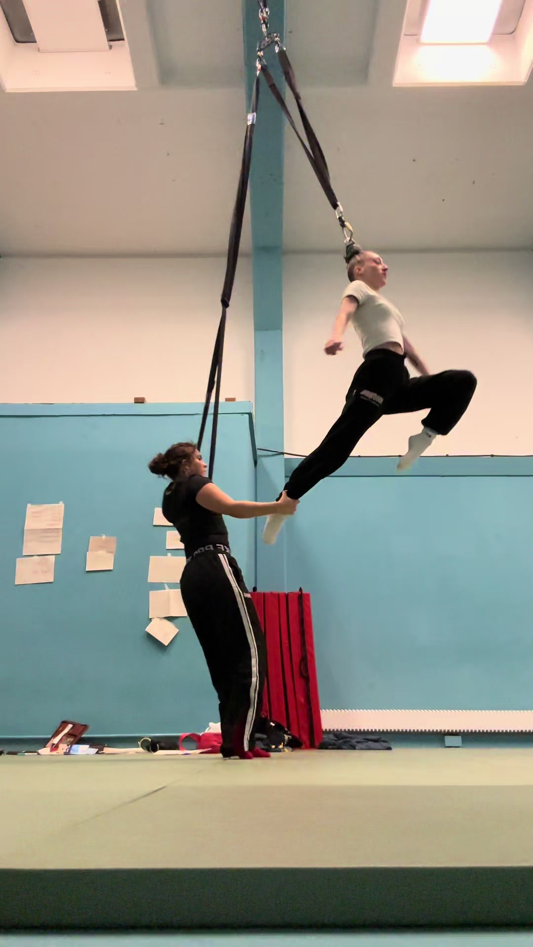 @lavishlunacircus