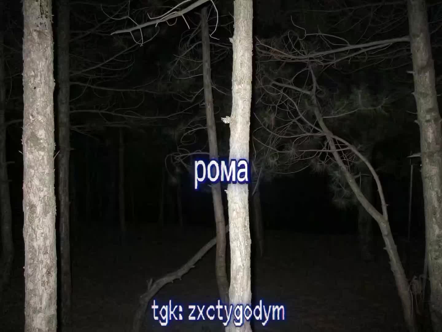 @spokoen_