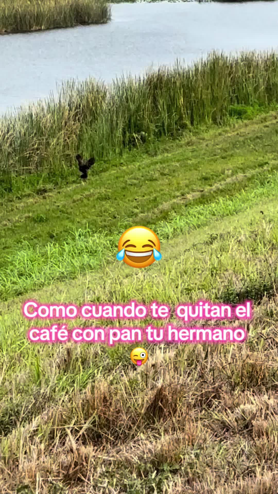 @Mar Vasquez