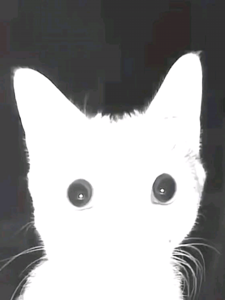@°๐๏ฝกhollie°๊ฉ•