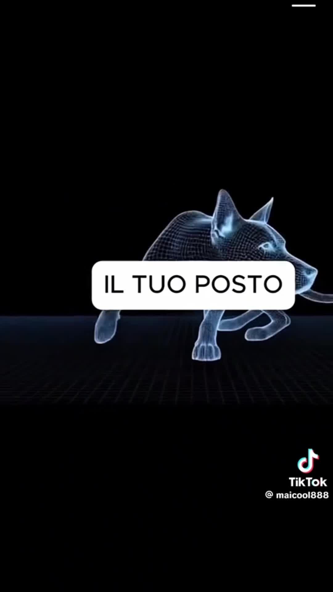 @k.girl03_