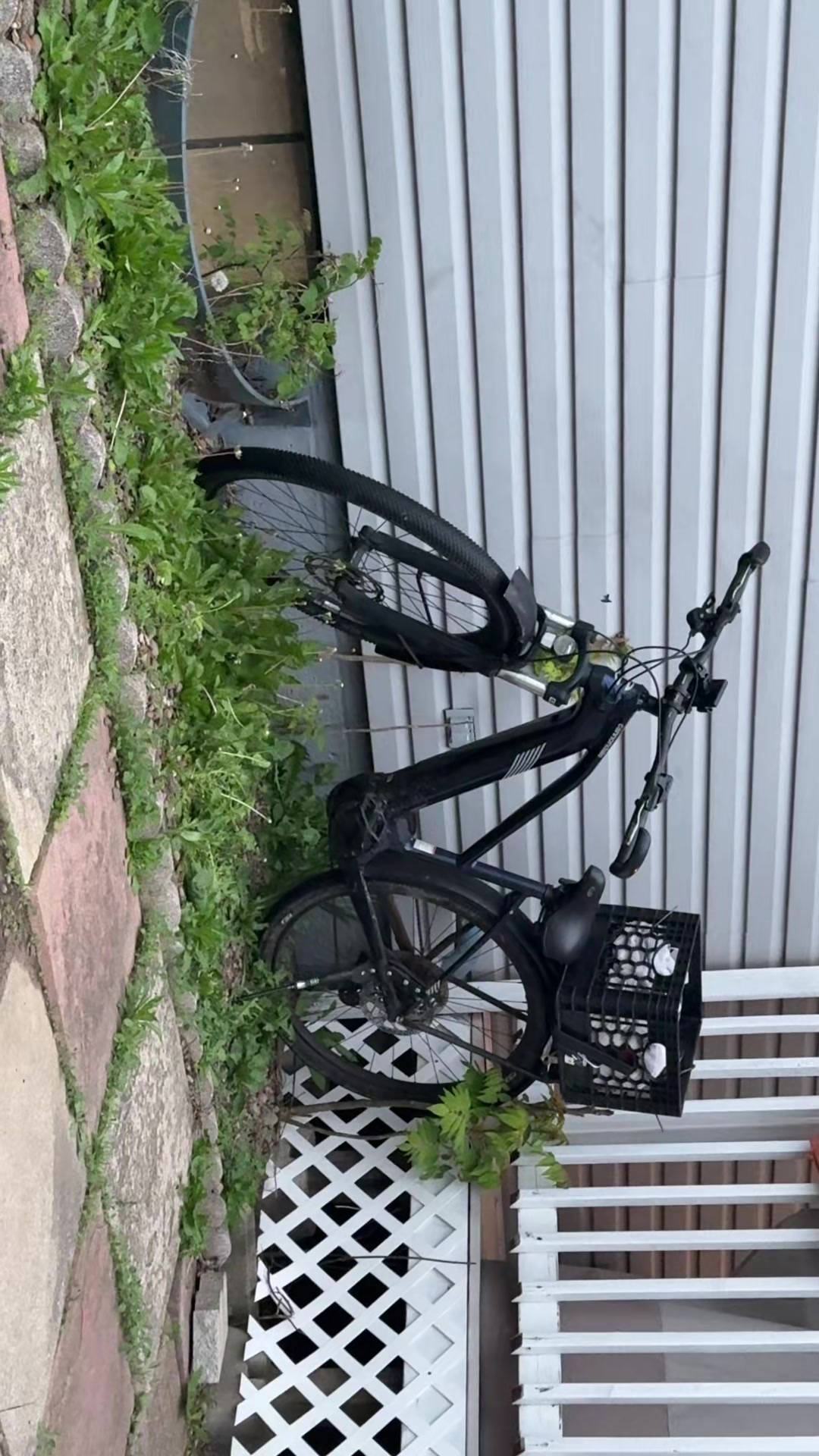 @Jaxon 🏍️💨