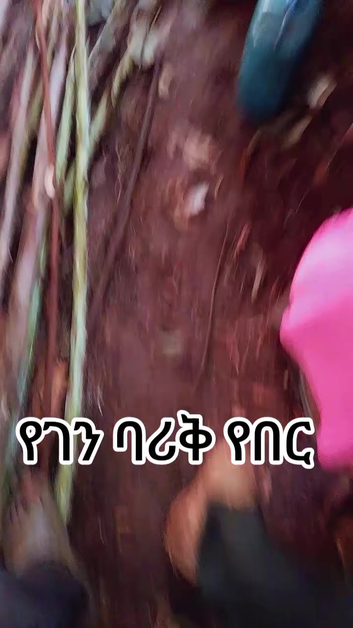 @asha ፓፓ 🦸&zwj;♀️🦸&zwj;♀️🦸&zwj;♀️