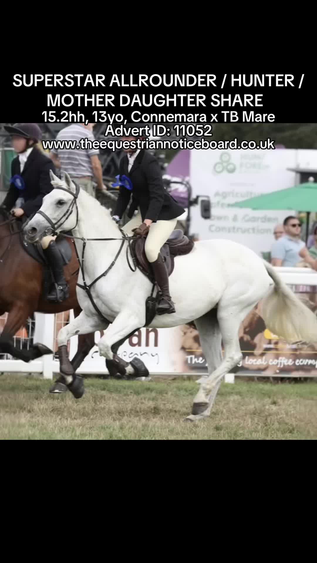 @theequestriannoticeboard