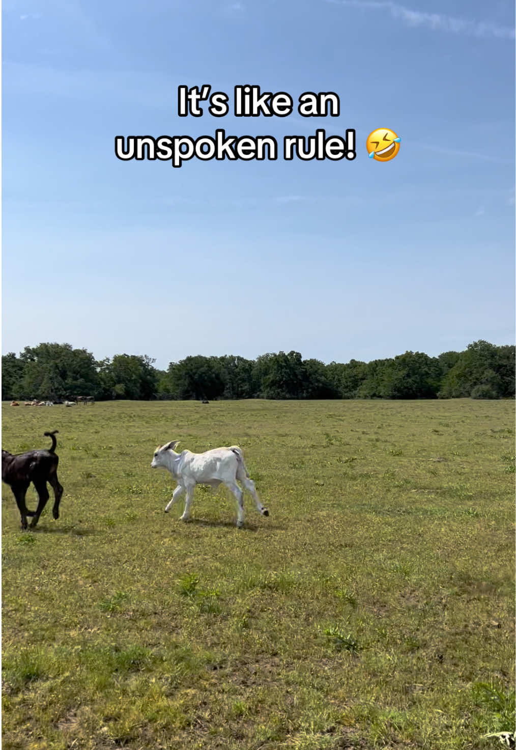 @The V6 Ranch