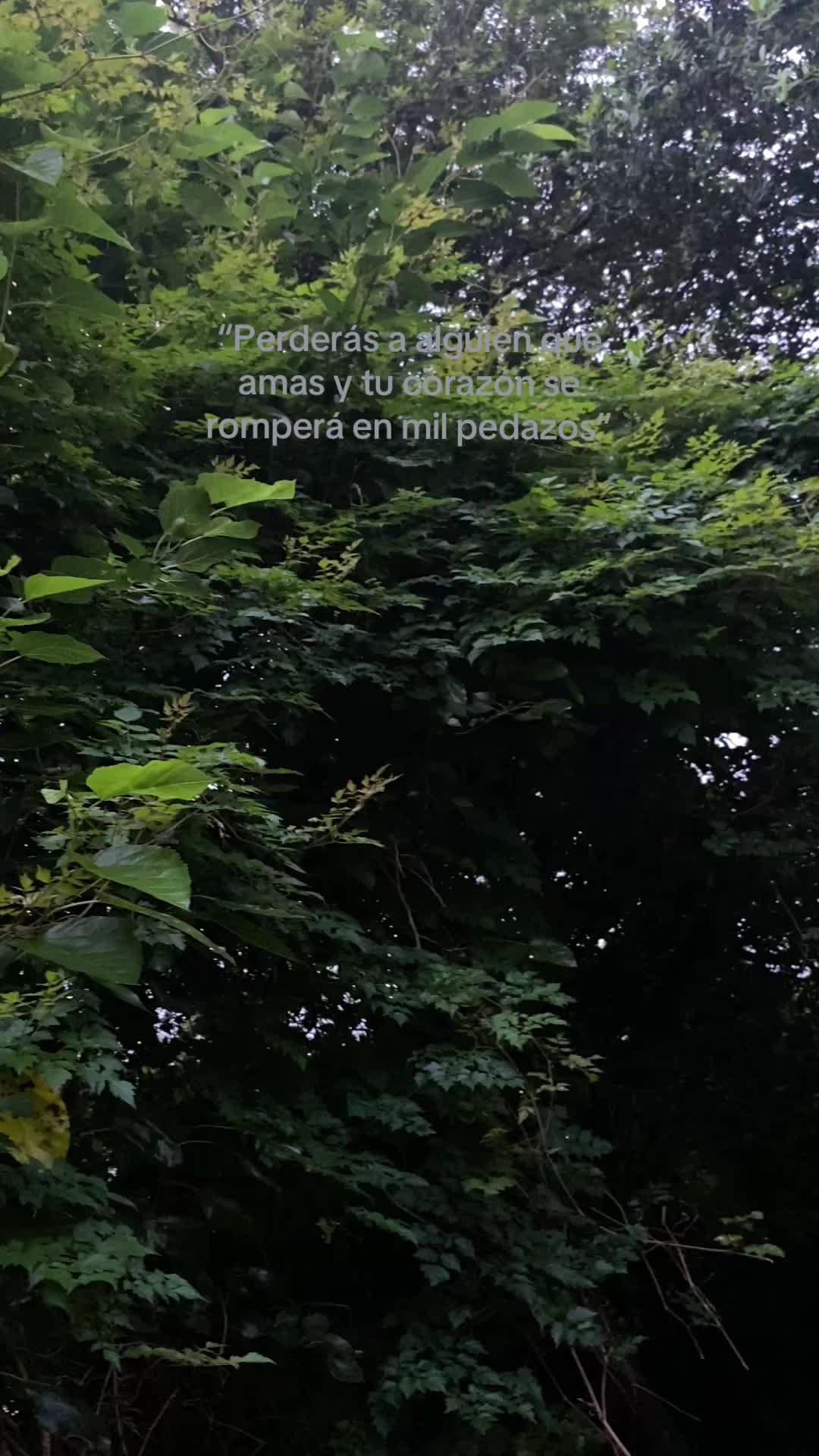 @ꪖꪶꪮꪀᦔ𝕣ꪖ🐢