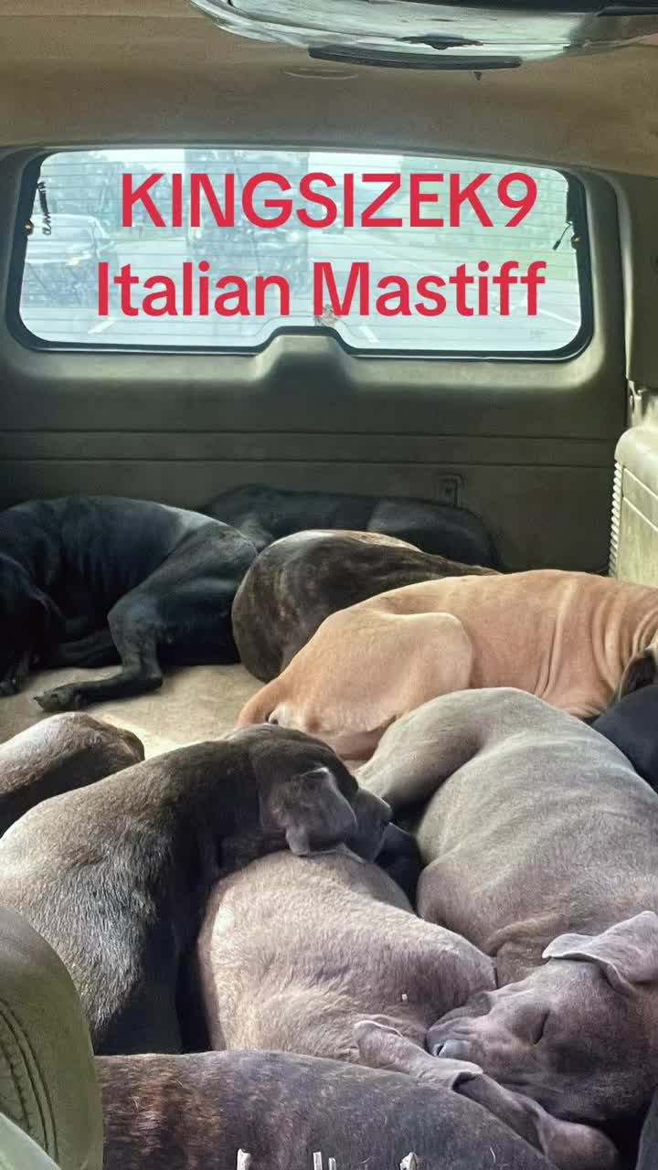 @KingCorso