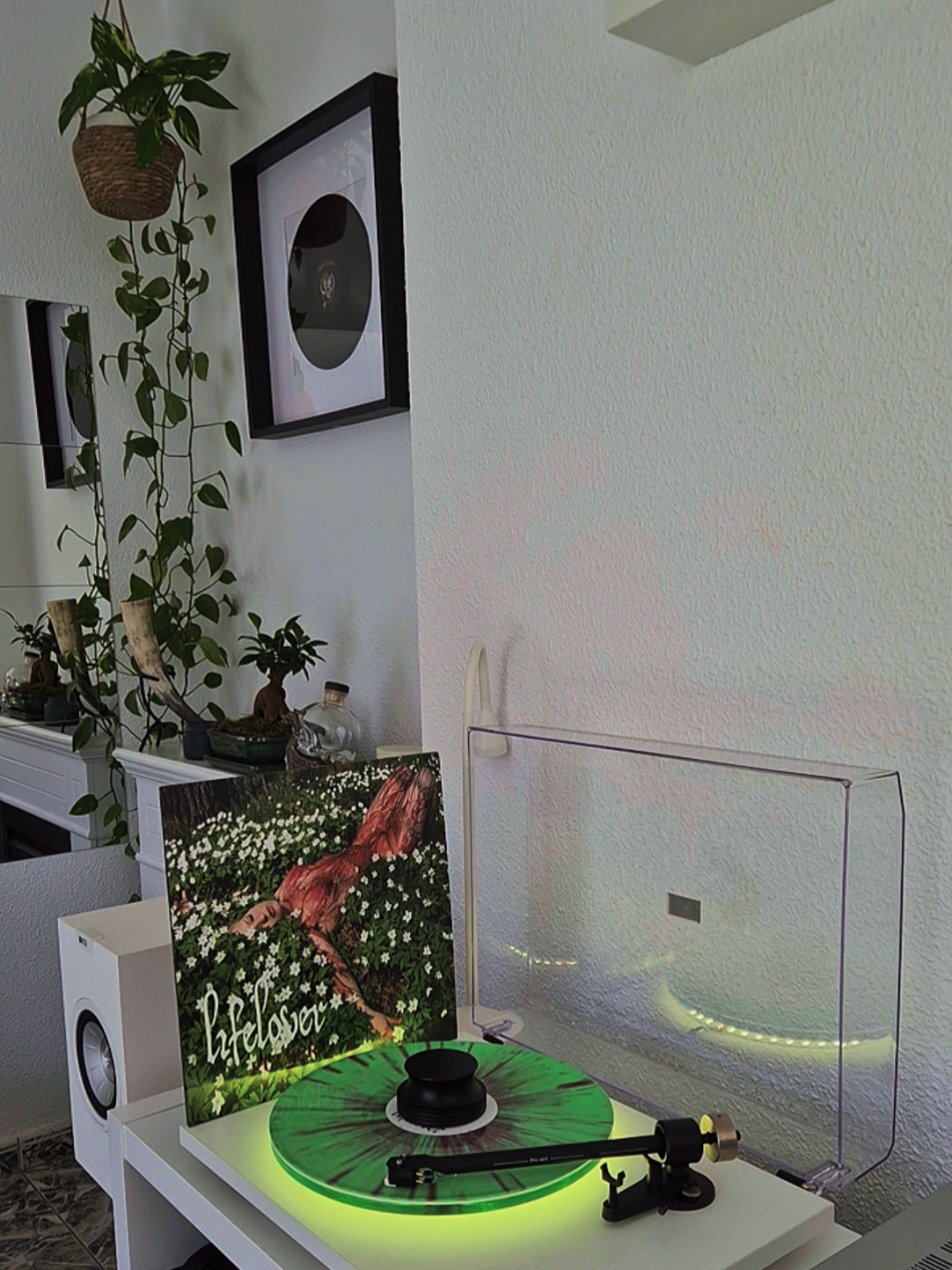 @r.vinylcollector
