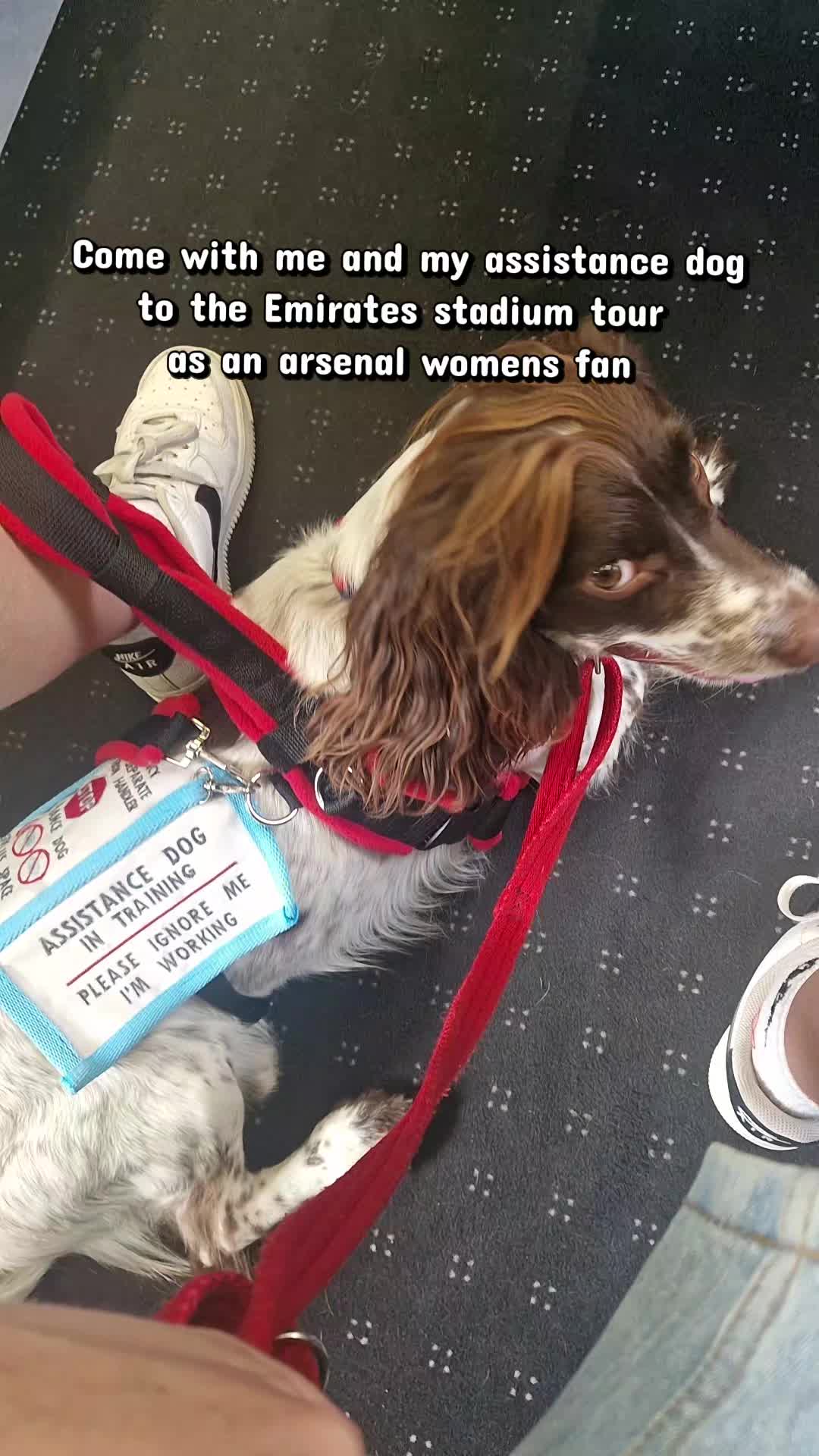 @Cocoa and Forrest 🐕&zwj;🦺🐩