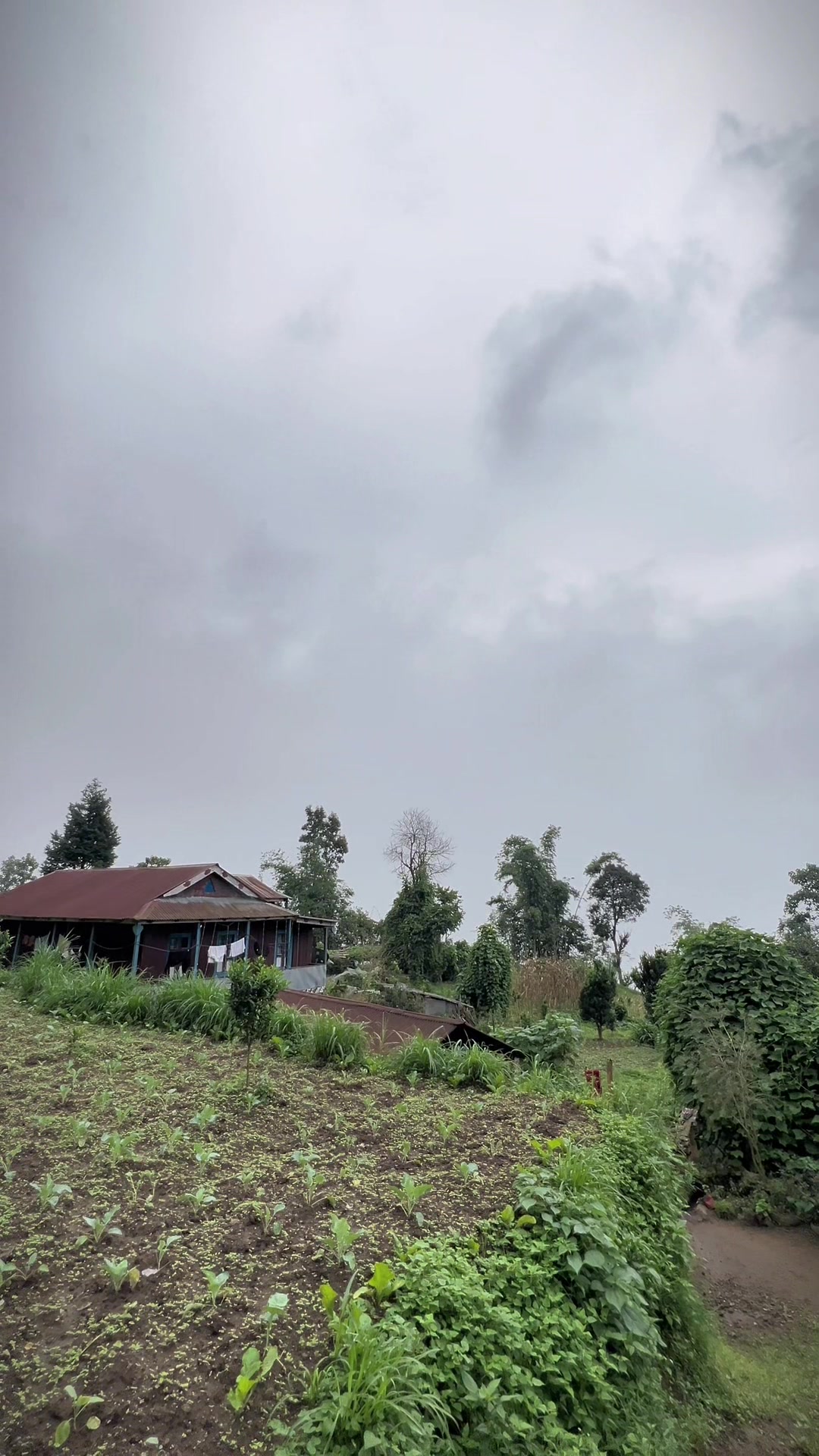 @Bibek Chamling 💙