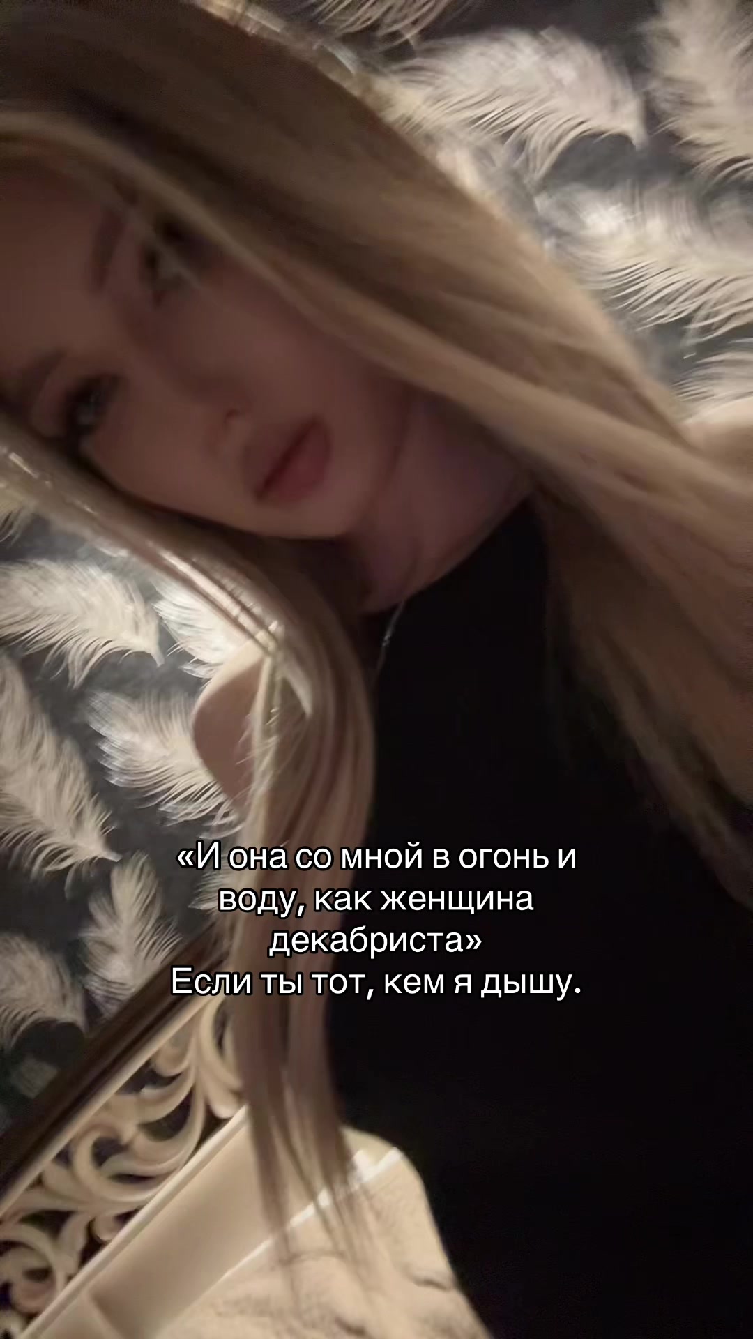 @elvis