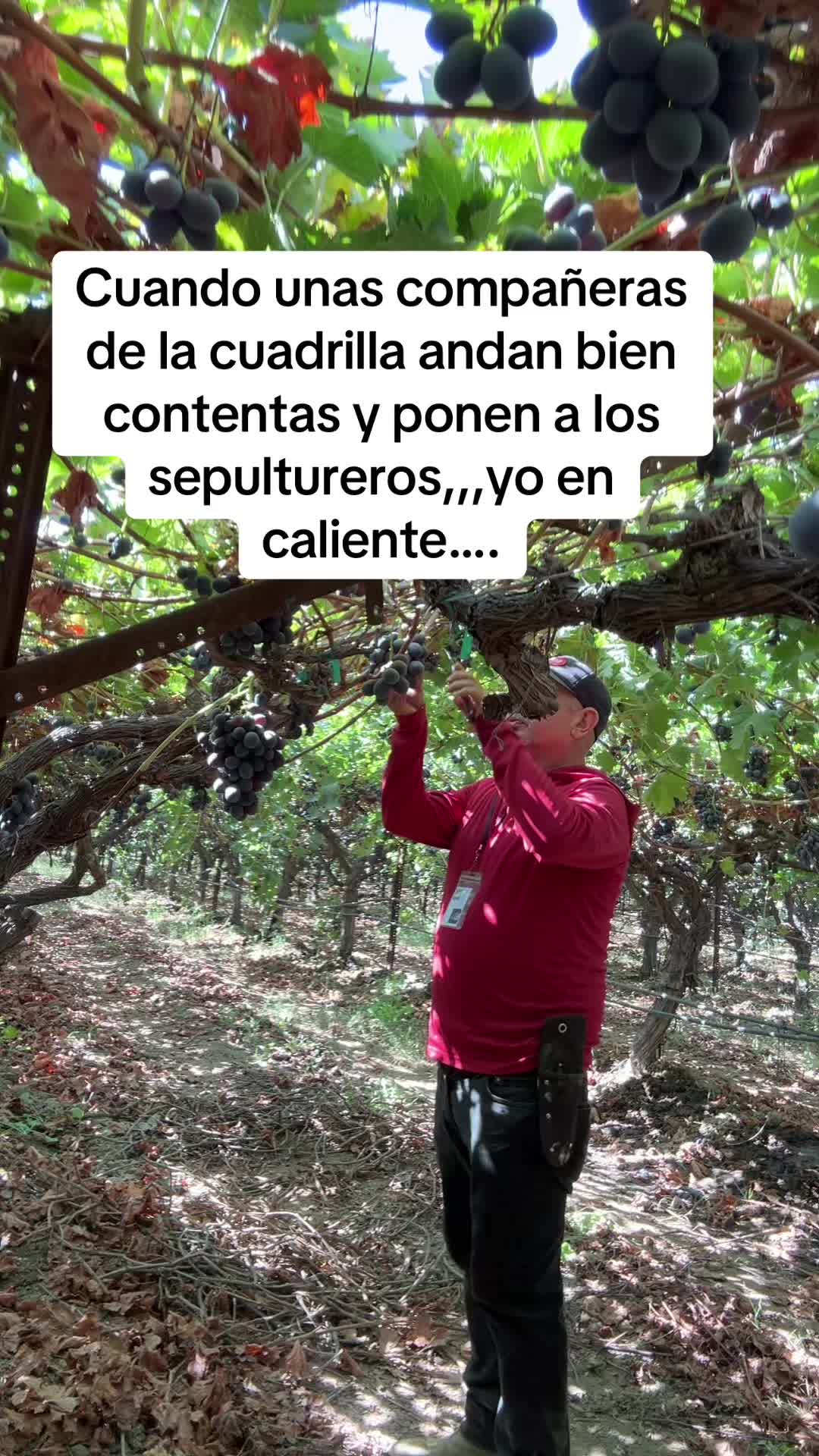 @Gustavo