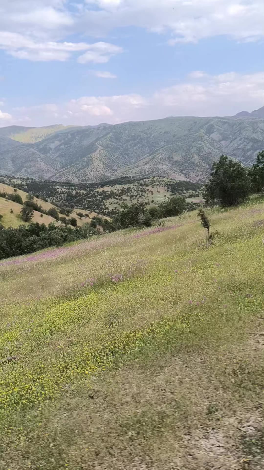 @Nezir Kılı&ccedil;