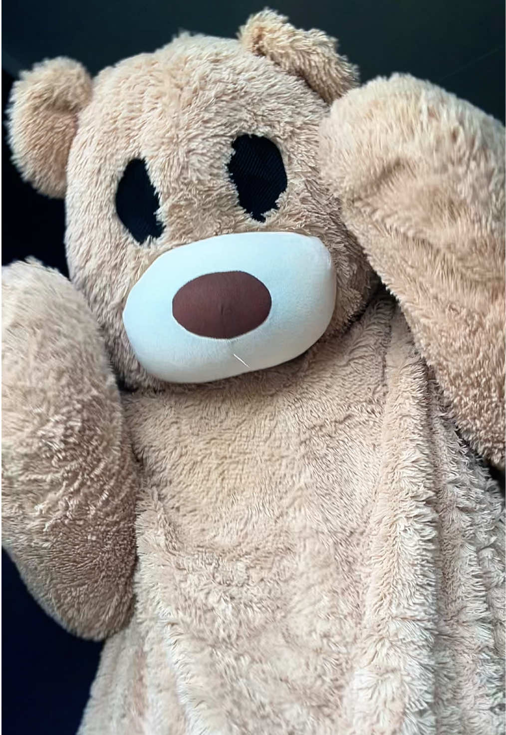 @teddytok
