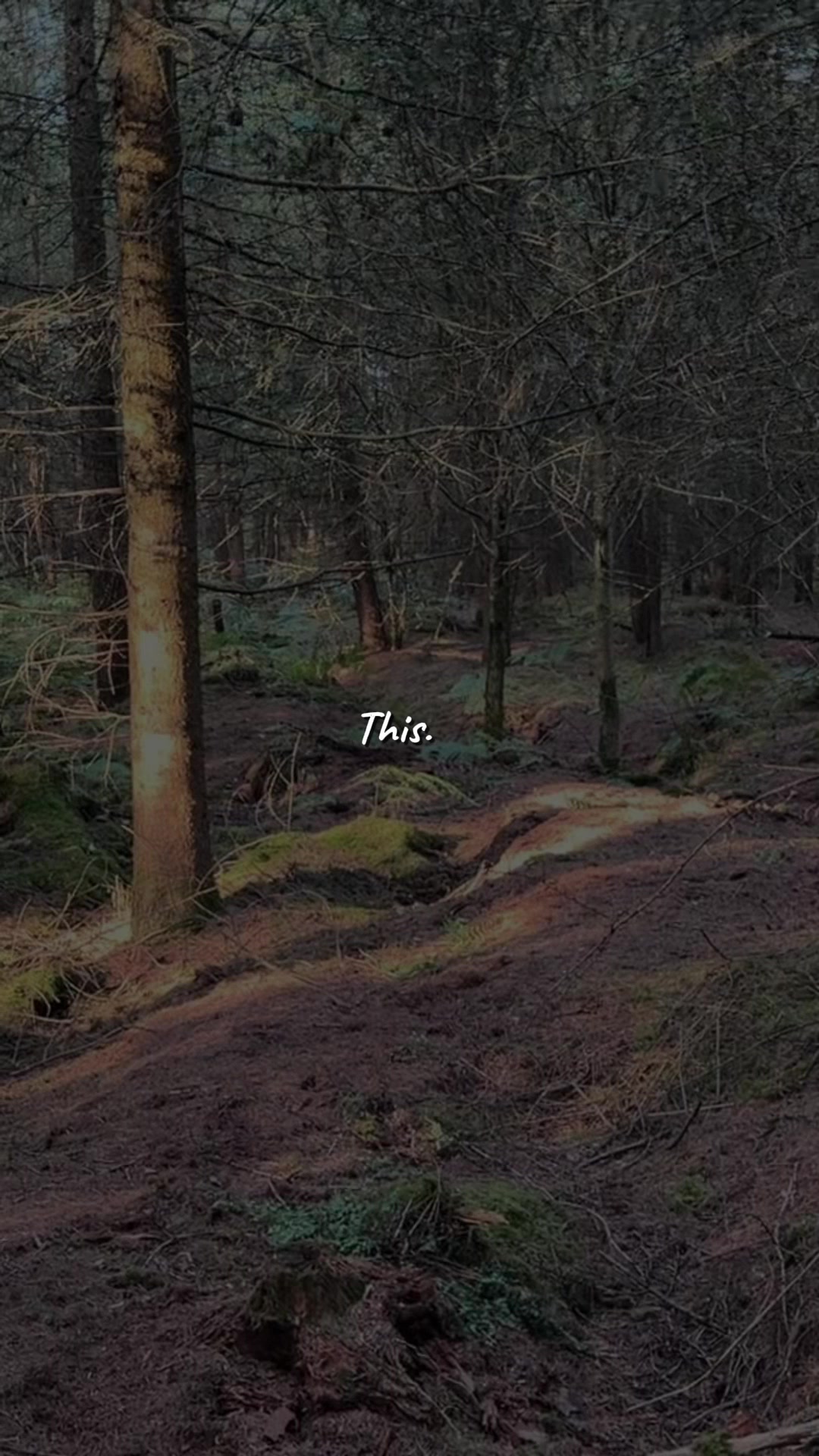 @Camp Theory