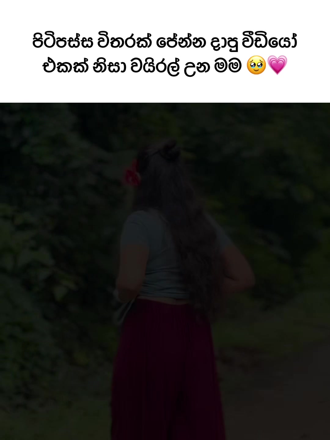 @𝑬𝒗𝒆𝒆 ' 𝑳𝒊𝒔𝒉𝒖𝒖 🐜🍃