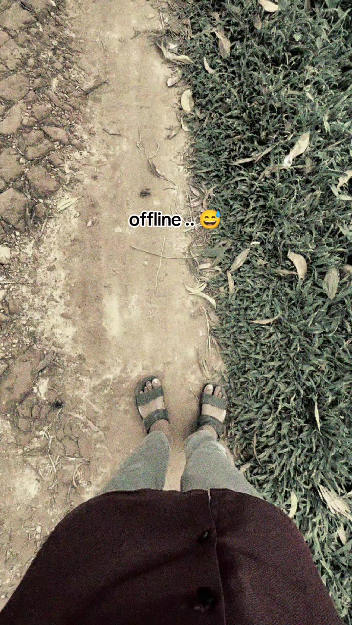 @🍁 S H F I U L 🍁