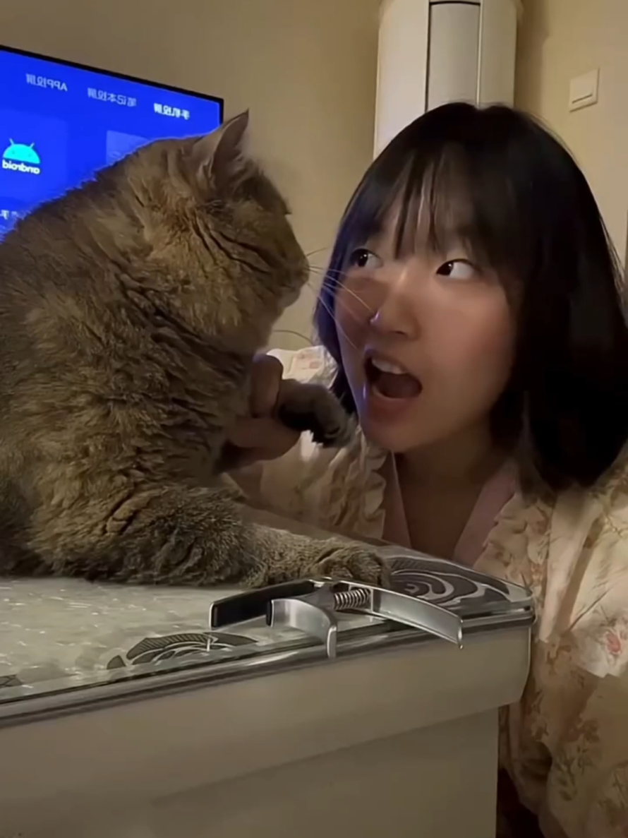 @Paw Pet