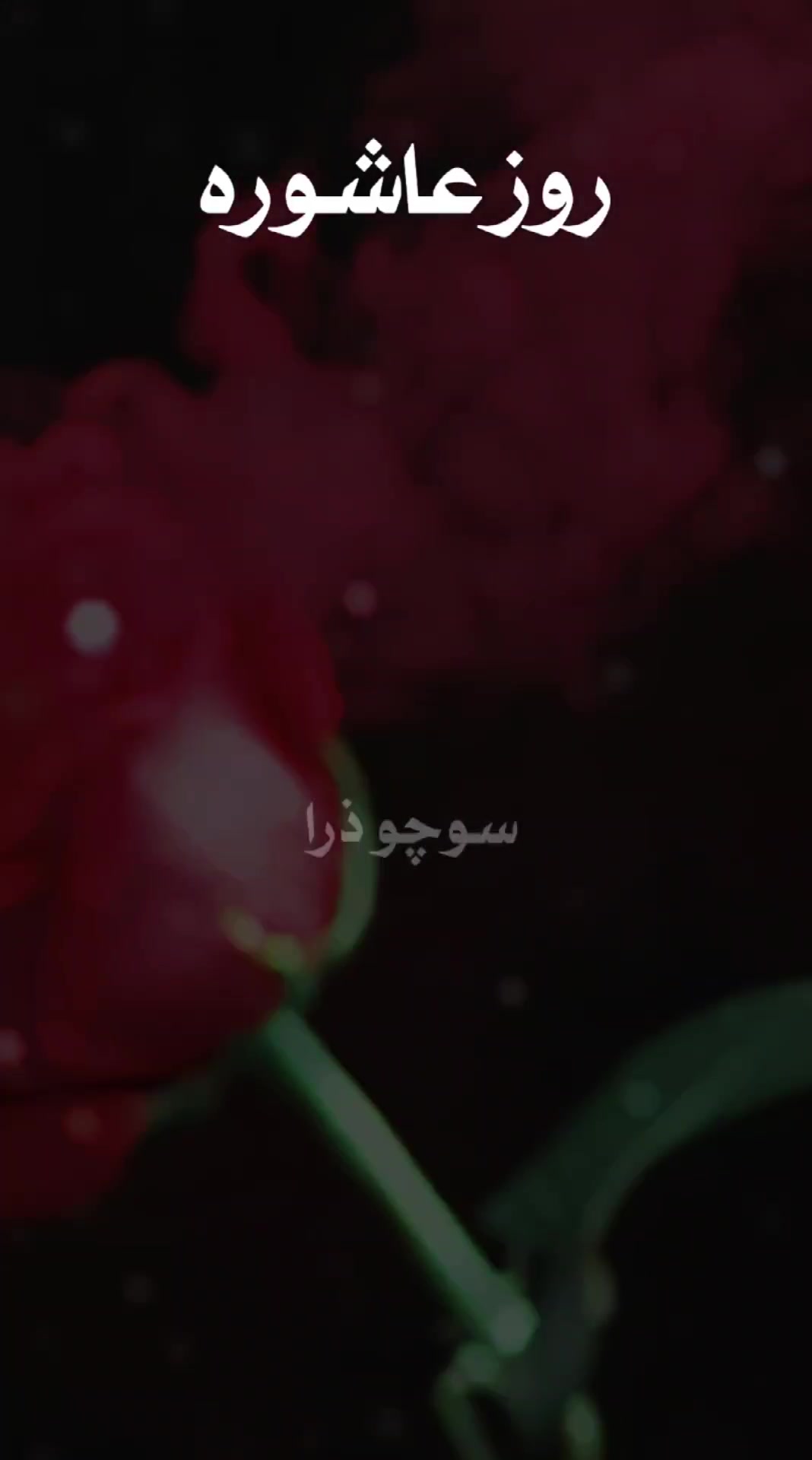 @꧁༒★Meᴿᴬj★༒꧂
