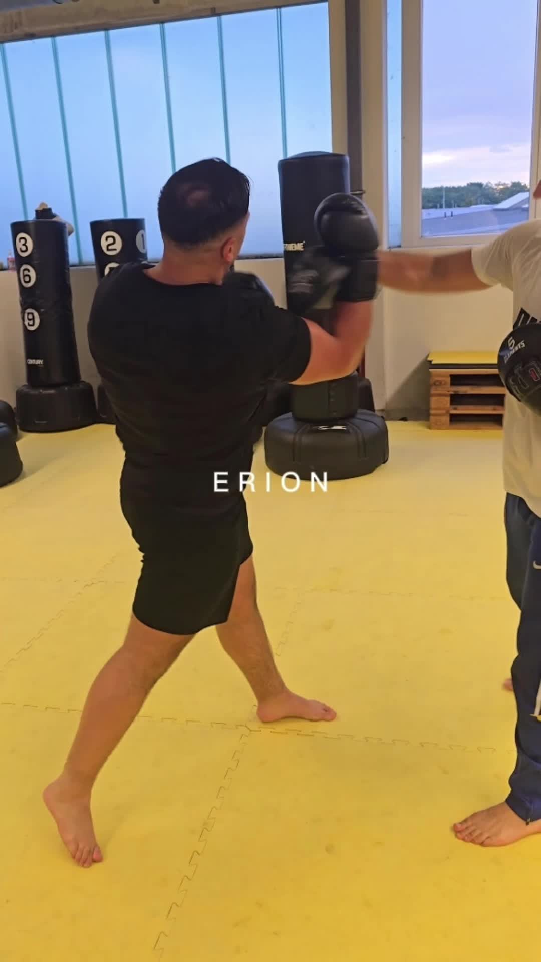 @DIEKICKBOXTRAINER
