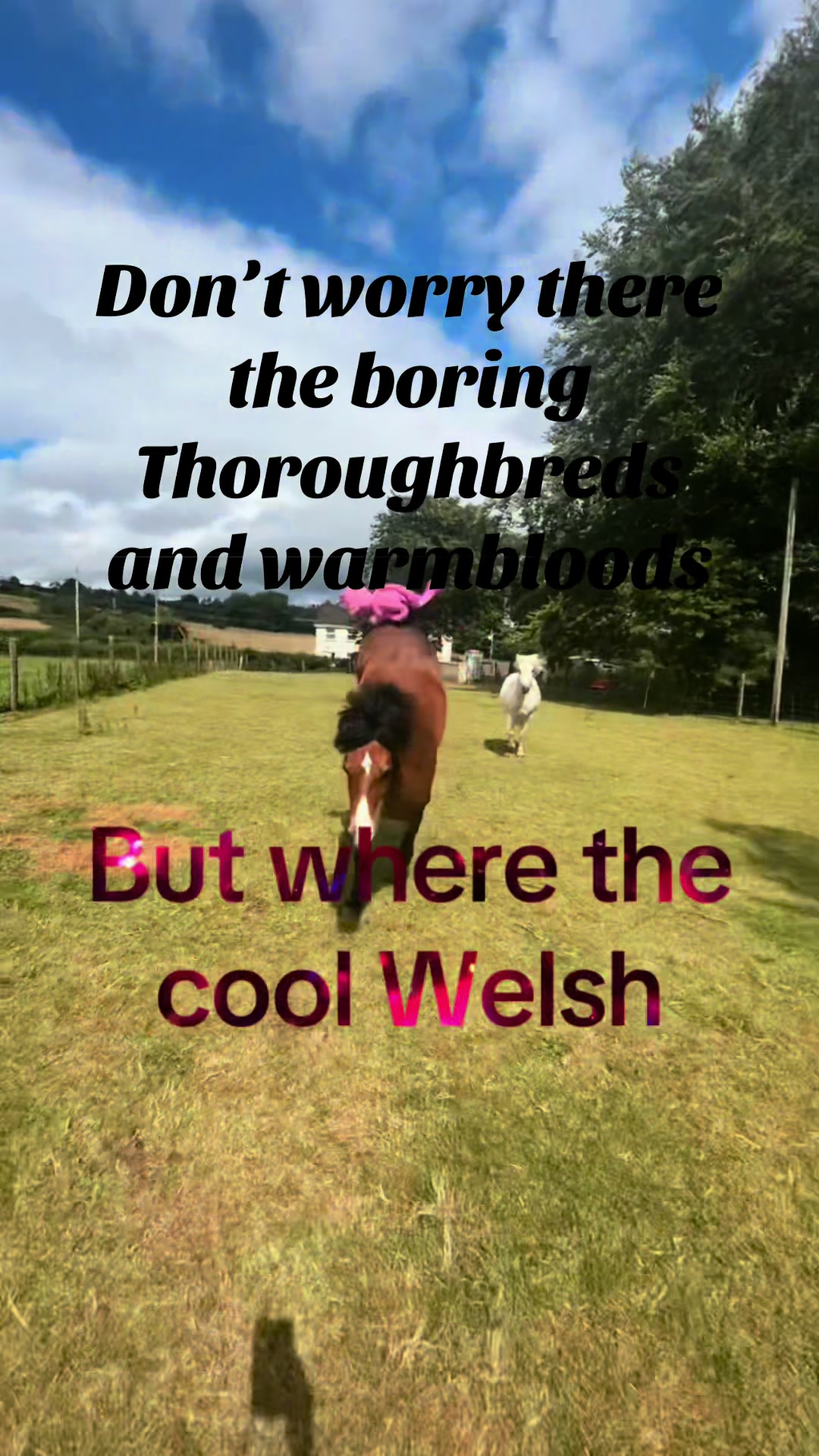 @aoibheann🪽