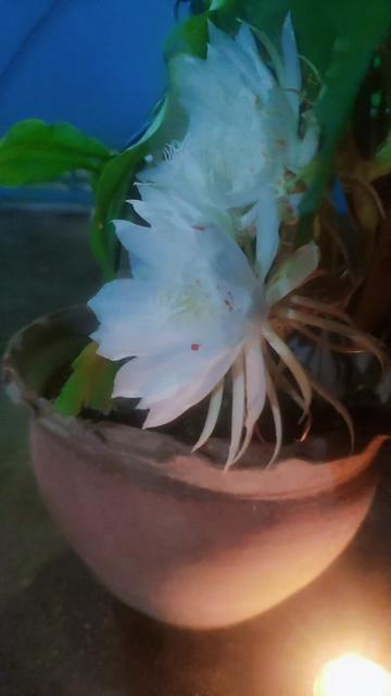 @Sudha Shah