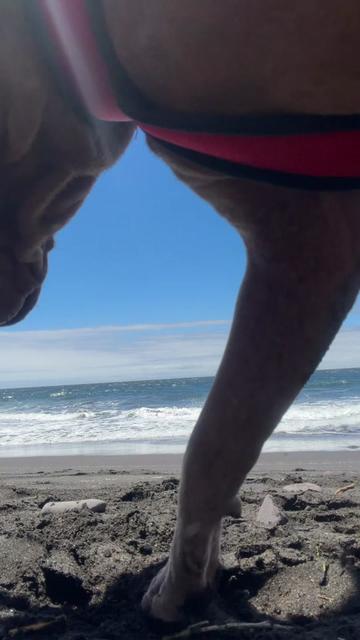 @yasminamoralesm80