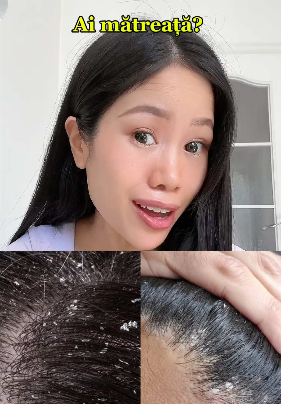 @Lily Official