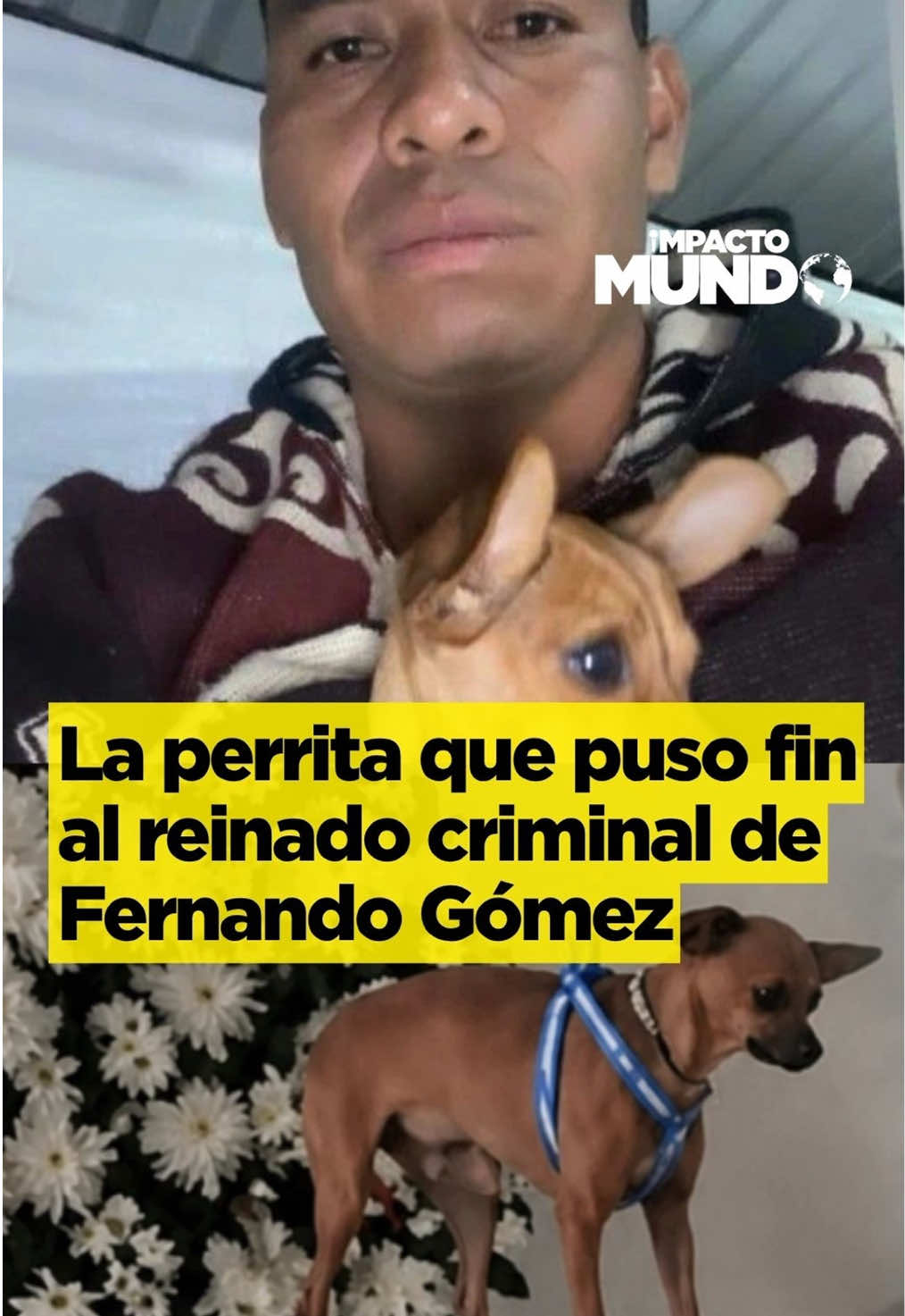 @Impacto Mundo