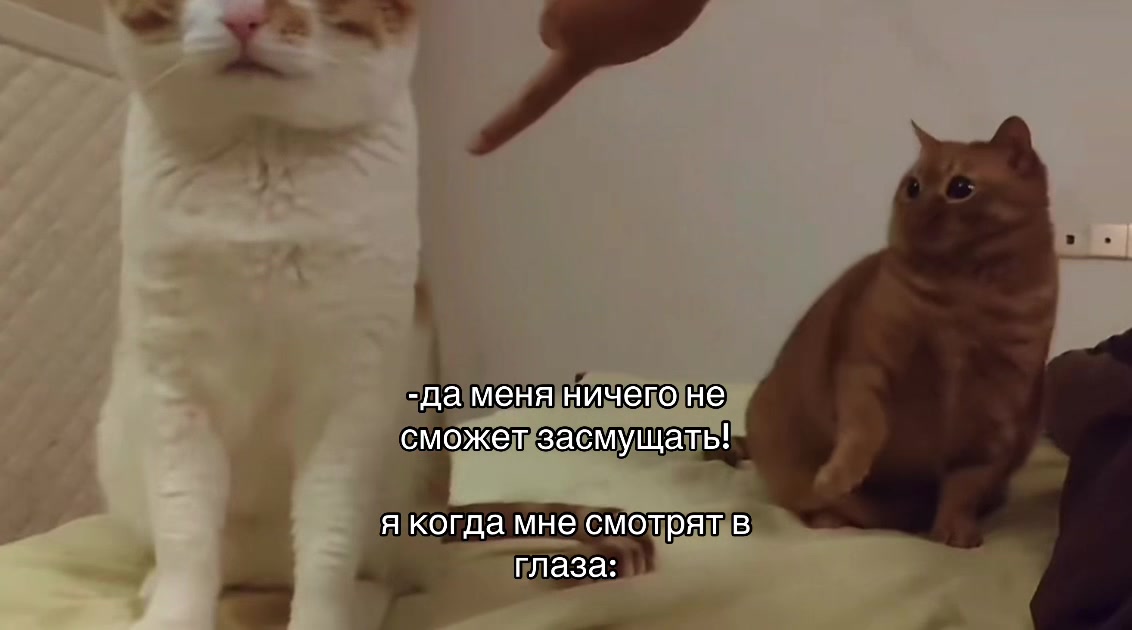@крушительница яиц 2012