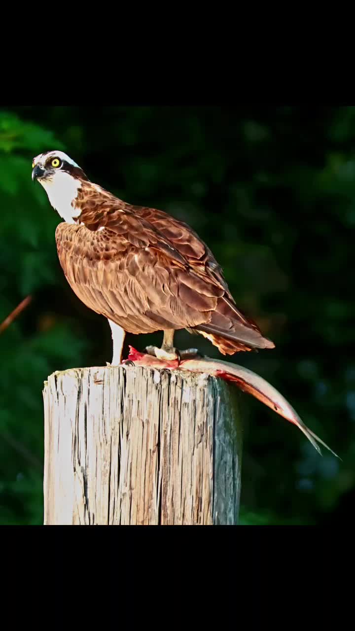 @Naturalist ๐ณ ๐ถโ๏ธ ๐ข ๐ฆโฌ