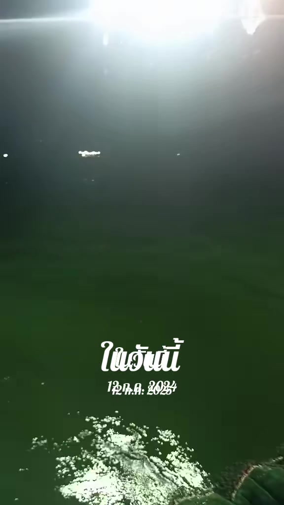 @Anas Tamaraksa