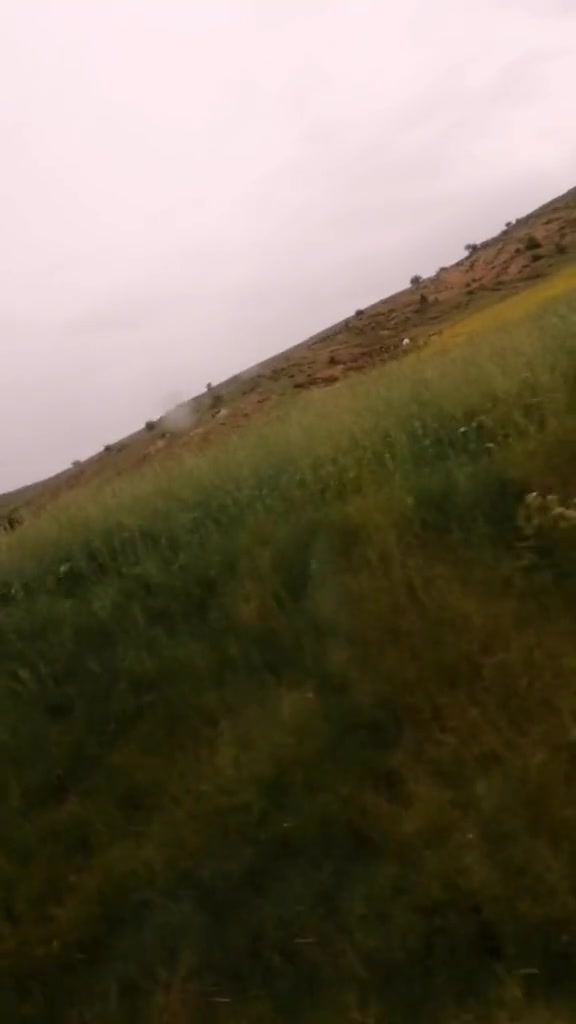 @🌼Çiçek🌼