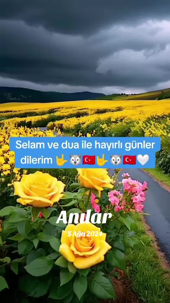 @Asena 1453